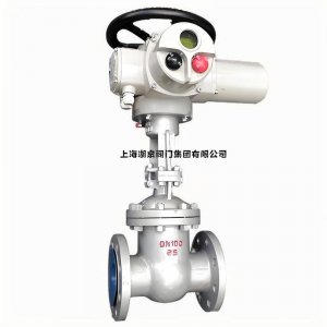 不锈钢316电动闸阀dn100