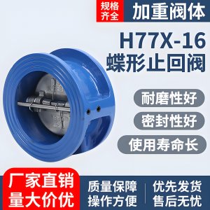 止回阀和底阀H77X-16 DN50