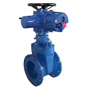 上海湖泉电动不锈钢闸阀100-z945w-16p